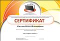 Сертификат участника сетевого профессионального педагогического сообщества "NETFOLIO"